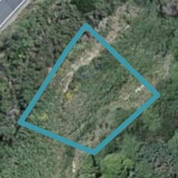 80 Curtis Street, Northland, Wellington