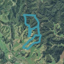 791C White Pine Bush Road, White Pine Bush, Whakatane