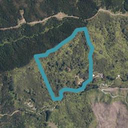 280 Smyth Road, Dome Forest, Warkworth