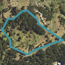 60 Dryden Street, Whataupoko, Gisborne