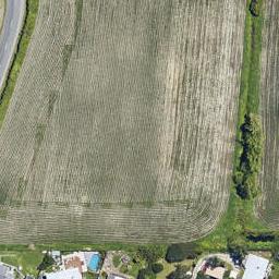 0 Seddon Street, Te Puke, TE PUKE