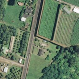 205 No 1 Road, Te Puke, Te Puke