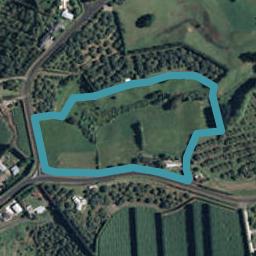 297 Kauri Point Road, Tahawai, Katikati