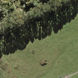 181 Henwood Road, Westgate, Auckland