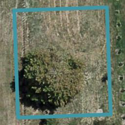 14 Whangaehu Place, Awatoto, Napier