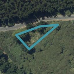 226 Signal Hill Road, Opoho, Dunedin