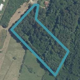 321 Packard Road, Motupipi