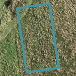 6 Waimarie Drive, Karaka, Papakura