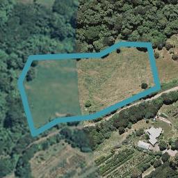 50 Jubilee Road, WAINUI, FRENCH FARM