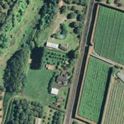200 No 1 Road, Te Puke, Te Puke