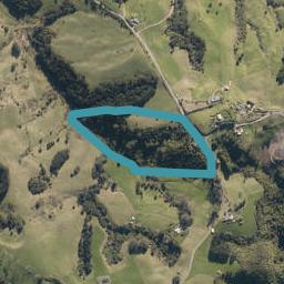 411 Brooks Road, Waipu, Waipu