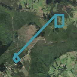 217 Cowan Road, Pine Hill, Dunedin