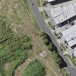 1 Morehu Wilson Road, St Johns, Auckland