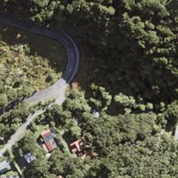 160 Bethells Road, Te Henga / Bethells Beach, Te Henga / Bethells Beach
