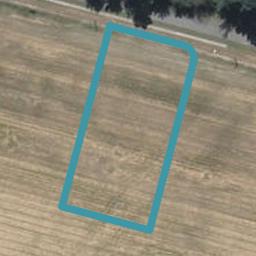 1715 Hoskyns Road, Kirwee, Kirwee