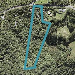 279 Wairere Road, Henderson