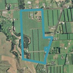 594A Omanawa Road, Omanawa, Tauranga