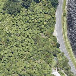 203 State Highway 30, Lake Rotoma, Rotorua