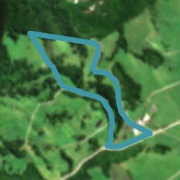 970 Pungaere Road, Waipapa, Waipapa