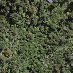 41F Tiri View Road, Palm Beach, Waiheke Island