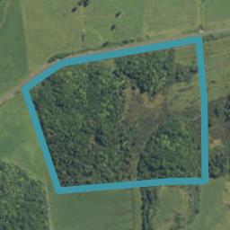 316 Lake Arthur Road, Kokatahi