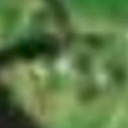 407 State Highway 10, Kaeo, Kaeo