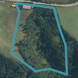 195 Wilson Road, Helensville