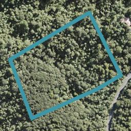 254 Piha Road, Piha, Piha