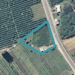 3710 Fruitlands-Roxburgh Road, Roxburgh, Roxburgh