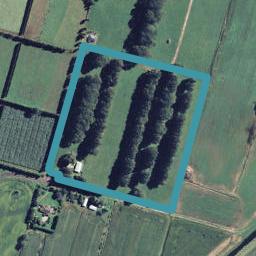 111 Burt Road, Matata, Whakatane
