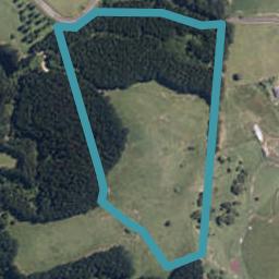 260A Maunga Road, Dannevirke, Dannevirke
