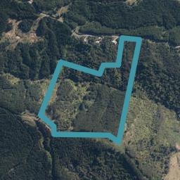 271 Moir Road, WARKWORTH, Warkworth