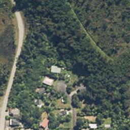 20 Punga Grove, Lake Kaniere, Hokitika