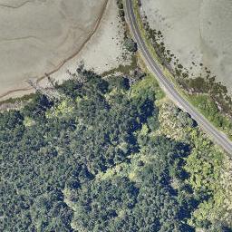 160 Wainui Road, Maraetotara, Whakatāne