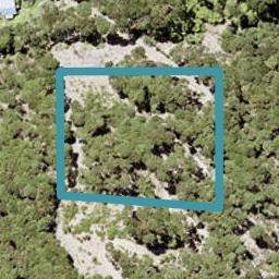 0 North Cove, Kawau Island, Kawau Island