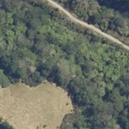 0 Pukekauri Road, Waikino, Waihi
