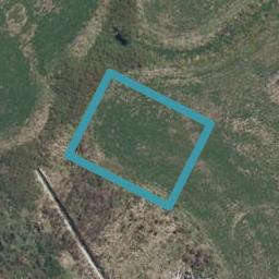 88 Overton Street, Rototuna North, Hamilton