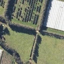 129 Oparara Loop Road, KARAMEA, Karamea