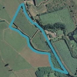 584 Otara East Road, Tirohanga, Opotiki