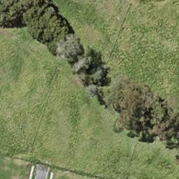 137 Argento Avenue, Flat Bush, Auckland
