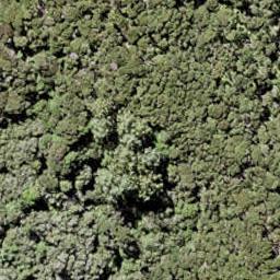 322 Bon Accord Harbour, Kawau Island, Kawau Island
