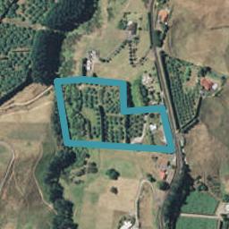 278 Youngson Road, Whakamarama, Tauranga