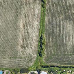 0 Seddon Street, Te Puke, TE PUKE