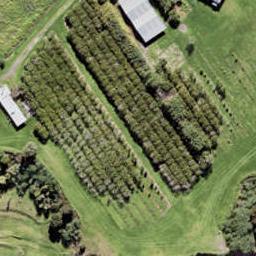 19 Picnic Point Road, Hobsonville, Auckland