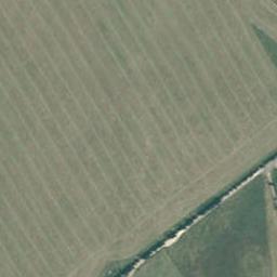339 White Road, Broadlands, Broadlands Forest