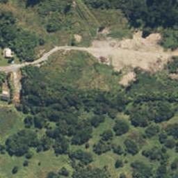35 Stuart Street, Lake Kaniere, Kokatahi