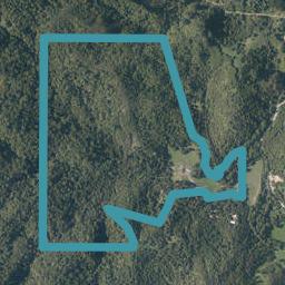 36 Black Fern Grove, Opuawhanga, Hikurangi