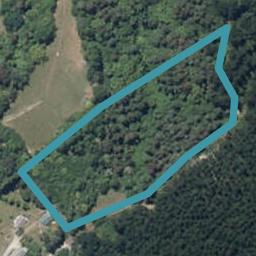 143 Wallace Loop Road, Koputaroa, Shannon