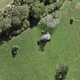 12 Te Ara Tu Para, Albany, Auckland