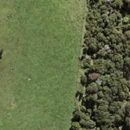 80 Te Aniwaniwa Terrace, Albany, Auckland